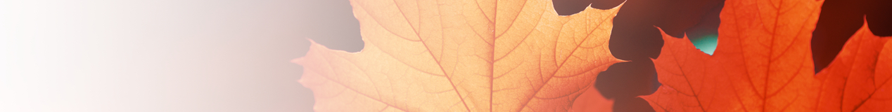 about-banner